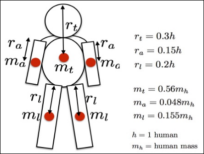 Human Center of Gravity